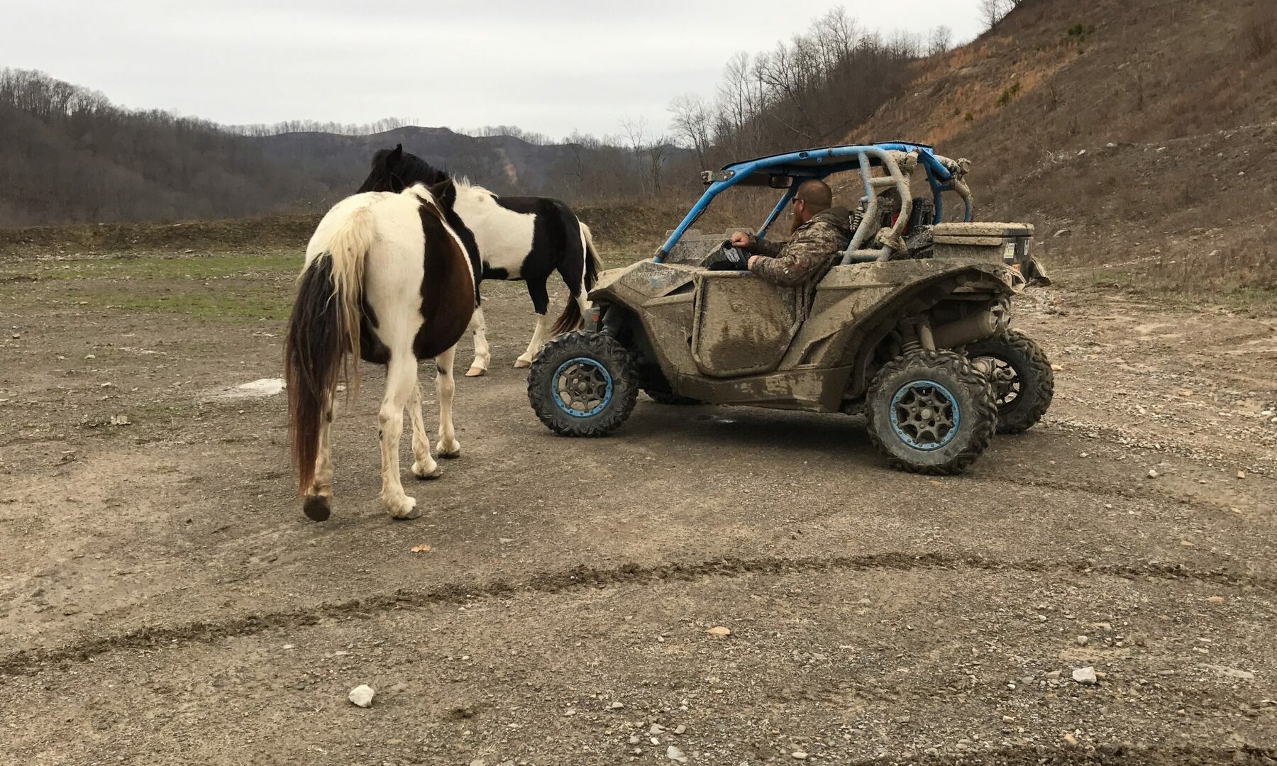 A mud-covered UTV parked near grazing horses on the mountain